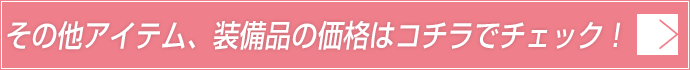 ̑ACeAỉi̓R`Ń`FbNI