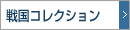 퍑RNV